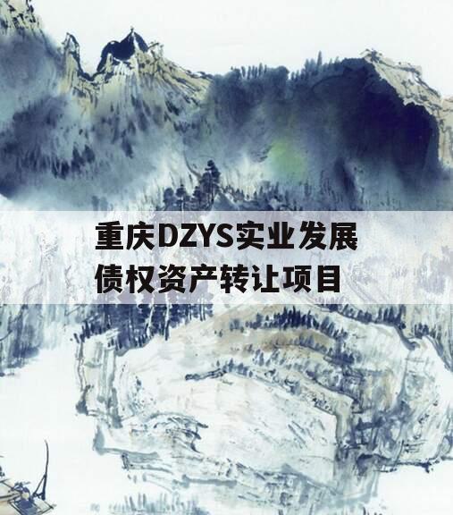 重庆DZYS实业发展债权资产转让项目