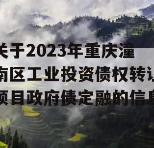 关于2023年重庆潼南区工业投资债权转让项目政府债定融的信息