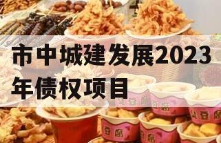 市中城建发展2023年债权项目