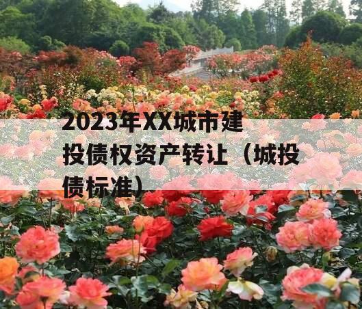 2023年XX城市建投债权资产转让（城投债标准）