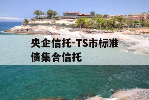 央企信托-TS市标准债集合信托