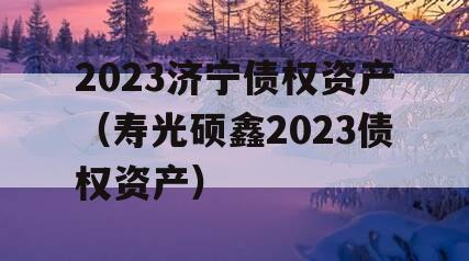 2023济宁债权资产（寿光硕鑫2023债权资产）