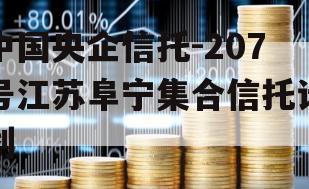 中国央企信托-207号江苏阜宁集合信托计划