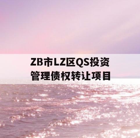 ZB市LZ区QS投资管理债权转让项目