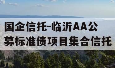 国企信托-临沂AA公募标准债项目集合信托