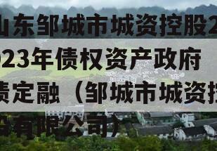 山东邹城市城资控股2023年债权资产政府债定融（邹城市城资控股有限公司）