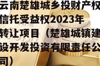 云南楚雄城乡投财产权信托受益权2023年转让项目（楚雄城镇建设开发投资有限责任公司）