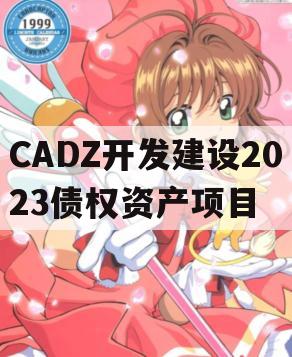 CADZ开发建设2023债权资产项目