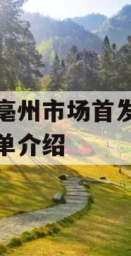 安徽亳州市场首发定融的简单介绍