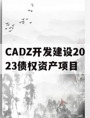 CADZ开发建设2023债权资产项目