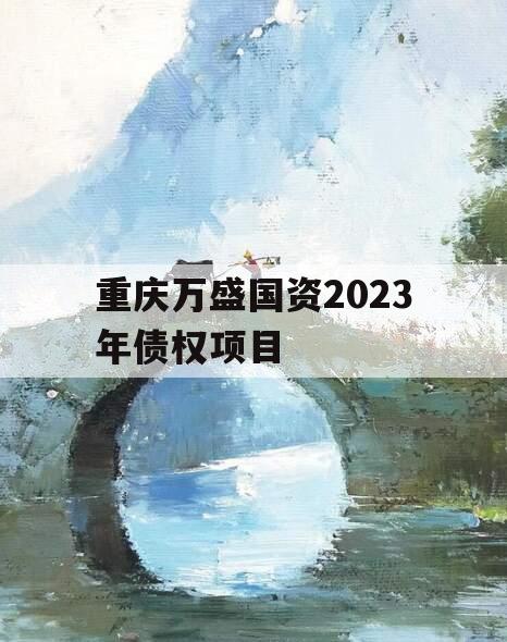 重庆万盛国资2023年债权项目