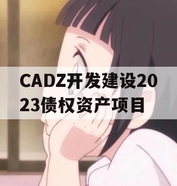 CADZ开发建设2023债权资产项目