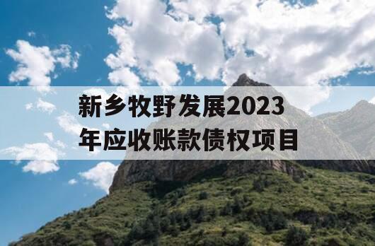 新乡牧野发展2023年应收账款债权项目