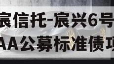 华宸信托-宸兴6号临沂AA公募标准债项目