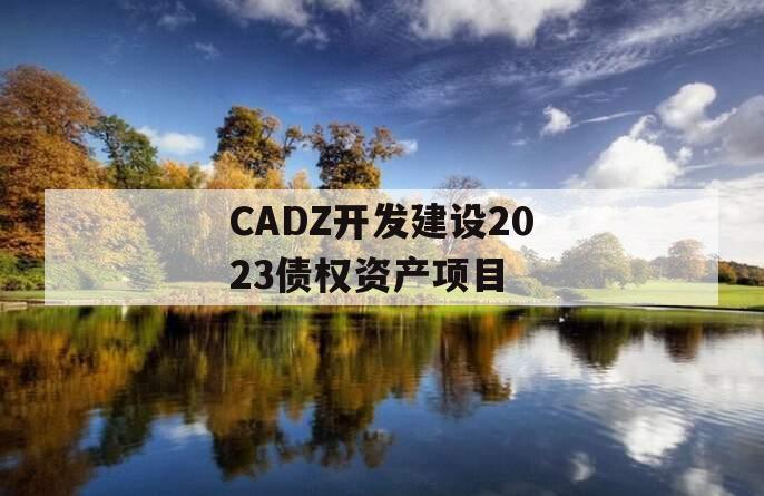 CADZ开发建设2023债权资产项目