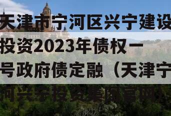 天津市宁河区兴宁建设投资2023年债权一号政府债定融（天津宁河兴宁投资集团官网）