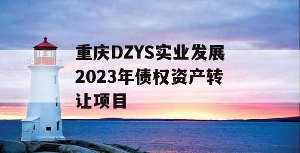 重庆DZYS实业发展2023年债权资产转让项目