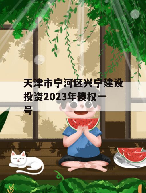 天津市宁河区兴宁建设投资2023年债权一号