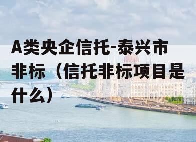 A类央企信托-泰兴市非标（信托非标项目是什么）