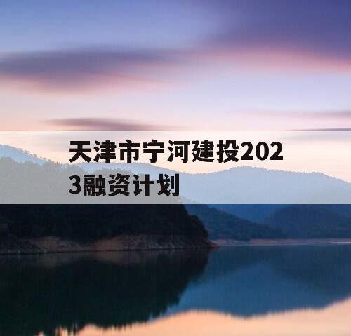 天津市宁河建投2023融资计划