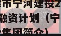 天津市宁河建投2023年融资计划（宁河区宁投集团简介）