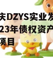 重庆DZYS实业发展2023年债权资产转让项目