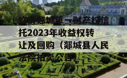 临沂郯城单一财产权信托2023年收益权转让及回购（郯城县人民法院拍卖公告）