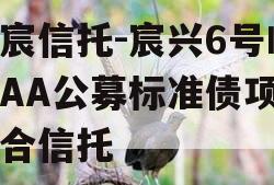 华宸信托-宸兴6号临沂AA公募标准债项目集合信托