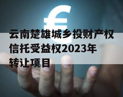 云南楚雄城乡投财产权信托受益权2023年转让项目