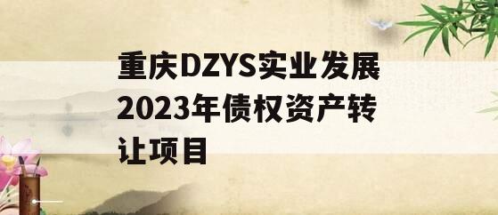 重庆DZYS实业发展2023年债权资产转让项目