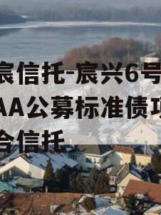 华宸信托-宸兴6号临沂AA公募标准债项目集合信托