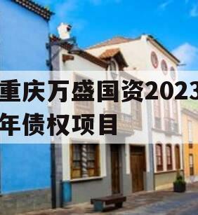 重庆万盛国资2023年债权项目