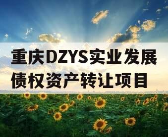 重庆DZYS实业发展债权资产转让项目