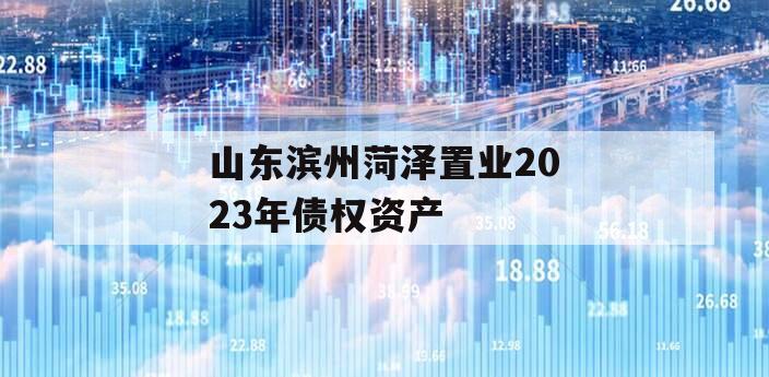 山东滨州菏泽置业2023年债权资产