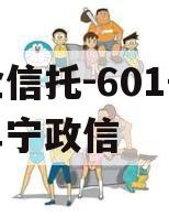 央企信托-601号江苏阜宁政信