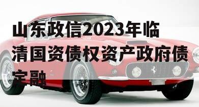 山东政信2023年临清国资债权资产政府债定融