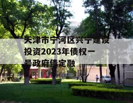 天津市宁河区兴宁建设投资2023年债权一号政府债定融