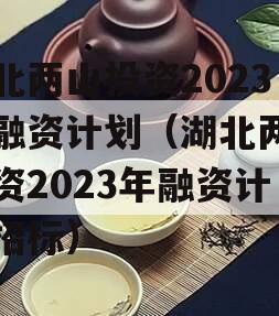 湖北两山投资2023年融资计划（湖北两山投资2023年融资计划招标）