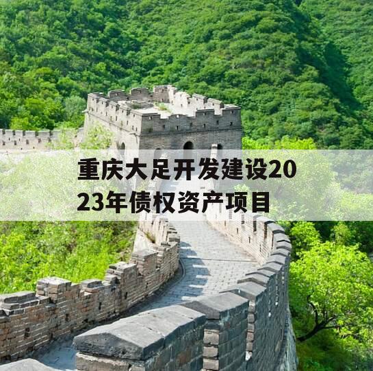 重庆大足开发建设2023年债权资产项目