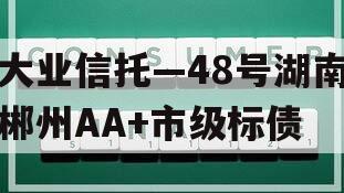 大业信托—48号湖南郴州AA+市级标债