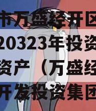 重庆市万盛经开区城市开发20323年投资债权资产（万盛经开区城市开发投资集团）