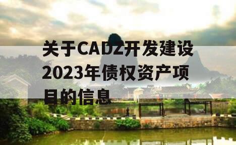 关于CADZ开发建设2023年债权资产项目的信息