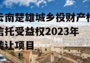 云南楚雄城乡投财产权信托受益权2023年转让项目