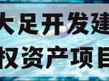 重庆大足开发建设2023债权资产项目