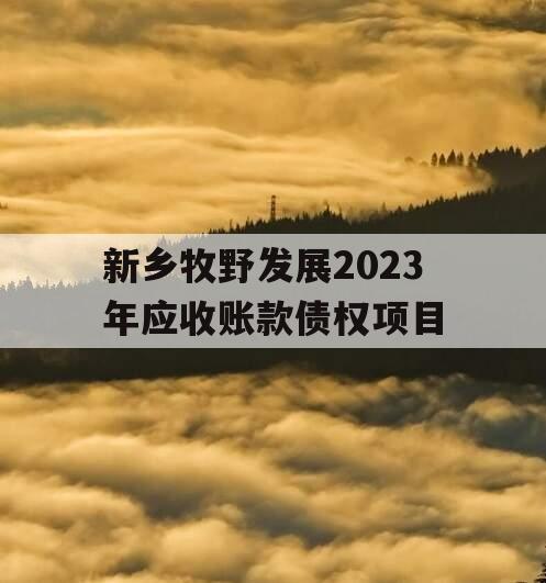 新乡牧野发展2023年应收账款债权项目