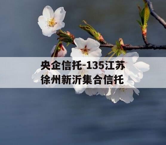 央企信托-135江苏徐州新沂集合信托