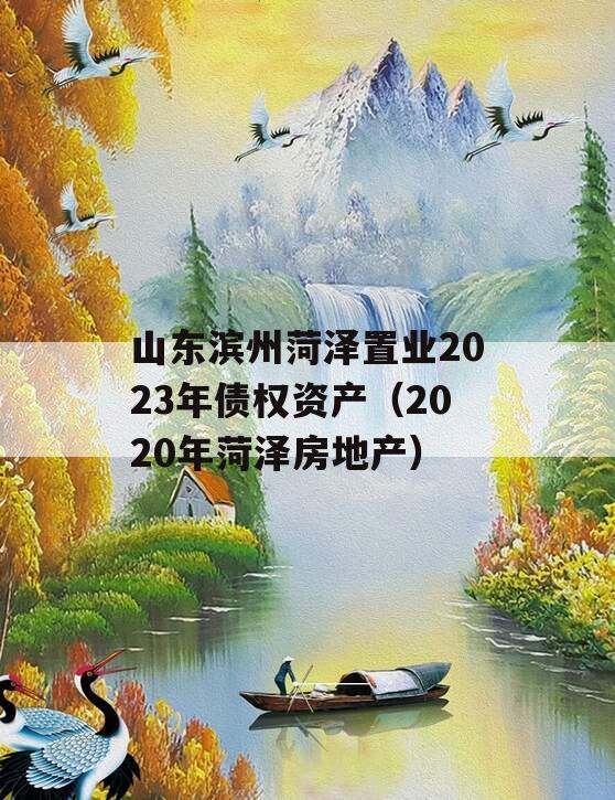 山东滨州菏泽置业2023年债权资产（2020年菏泽房地产）