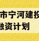 天津市宁河建投2023年融资计划