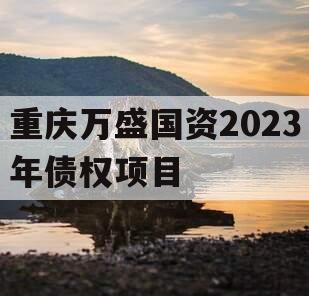 重庆万盛国资2023年债权项目