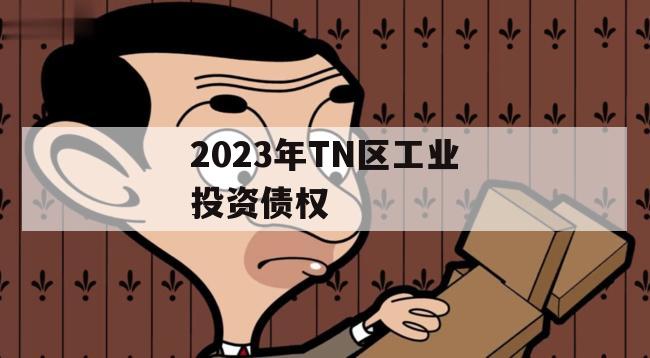 2023年TN区工业投资债权